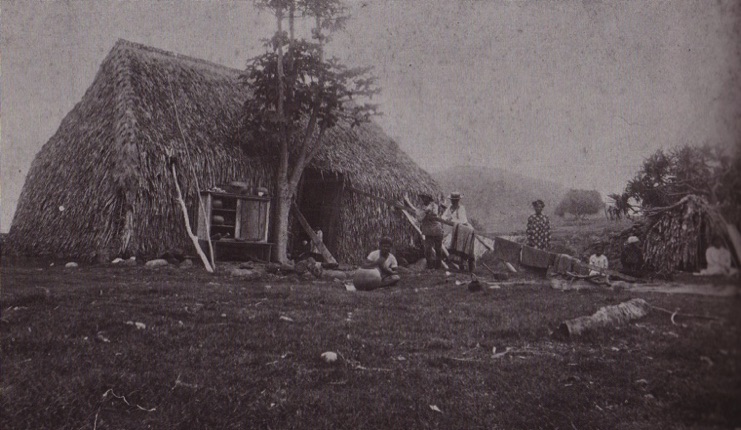 Kohelepelepe (Koko Crater) is visible in the background.